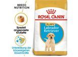 ROYAL CANIN Labrador Retriever Puppy 12 kg