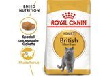 ROYAL CANIN British Shorthair Adult 2 kg