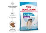 ROYAL CANIN Giant Junior 15 kg