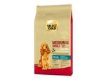 SELECT GOLD Sensitive Trockenfutter Hund Adult Medium Lachs und Kartoffel 12 kg