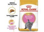 ROYAL CANIN British Shorthair Kitten 10 kg