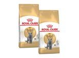 ROYAL CANIN British Shorthair Adult 2x10 kg