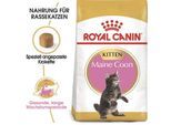 ROYAL CANIN Maine Coon Kitten 4 kg