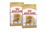 ROYAL CANIN Golden Retriever Adult 2x12 kg