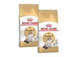 ROYAL CANIN Ragdoll Adult 2x10 kg