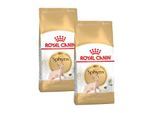 ROYAL CANIN Sphynx Adult 2x10 kg