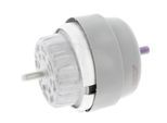 CORTECO Lagerung, Motor 80004295 für Audi