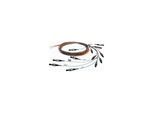 Telegärtner LWL Pigtail-Set 12xLC blau E9 OS2 TN-PS-12LC-E9-OS2 (100011729)