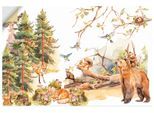 Wandbild ARTLAND "Die Tiere des Waldes", farbe bild(er): grün, B:60cm H:40cm, Bilder, als Alubild, Leinwandbild, Poster, Wandaufkleber in verschied. Größen