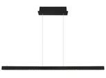 LED-Hängeleuchte Dentsy Schwarz max. 43 Watt