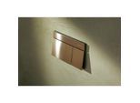 hansgrohe iFrame Element E Betätigungsplatte 66003140 für 2-Mengen-Spülung, Metall, brushed bronze