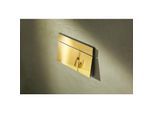 hansgrohe iFrame Element E Betätigungsplatte 66003990 für 2-Mengen-Spülung, Metall, polished gold optic