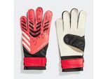 Torwarthandschuhe ADIDAS PERFORMANCE "PREDATOR TRAINING", Gr. 8, schwarz (schwarz, lucid rot, schwarz), Obermaterial: 65% Polyester, 35% Polyurethan, Handschuhe Torwarthandschuhe