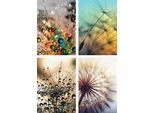 Poster ARTLAND "Pusteblume,Nahaufnahme Löwenzahn", beige (farbe bild(er): naturfarben), B:21cm H:29,7cm, Bilder, Poster, Bilder Set, 4tlg., ohne Rahmen