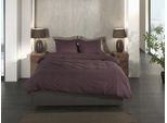 Bettwäsche HECKETT & LANE "Franela", lila (schwarzberry wine, schwarzberry wine), B/L: 155cm x 220cm, 1 Stk., 1 Stk., Flanell, B/L: 80cm x 80cm, 2 Stk., Flanell, Obermaterial: 100% Baumwolle, Bettwäsche, Bettwäsche, Uni Design, hochwertiges Flanell, Bettwäsche ab 135x200 cm