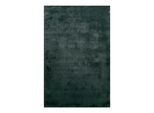Teppich HOMIE LIVING "Pisa", grau (anthrazit grün), B:200cm H:25mm L:290cm, Polyester, Teppiche, Teppich, Hochflor, Microfaser, uni, weich, Shaggy, Wohnzimmer, Schlafzimmer