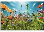 Wandbild ARTLAND "Buntes Blumenfeld", bunt (farbe bild(er): bunt), B:120cm H:80cm, Bilder, als Alubild, Leinwandbild, Poster in verschied. Größen