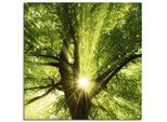 Wandbild ARTLAND "Sonne strahlt explosiv durch den Baum", grün (farbe bild(er): grün), B:30cm H:30cm, Bilder, als Leinwandbild, Poster in verschied. Größen