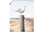 Wandbild ARTLAND "Möwe", weiß (farbe bild(er): weiß), B:30cm H:40cm, Bilder, als Alubild, Leinwandbild, Poster in verschied. Größen