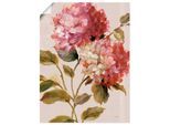 Wandbild ARTLAND "Harmonische Hortensien", pink (farbe bild(er): pink), B:30cm H:40cm, Bilder, als Leinwandbild, Poster in verschied. Größen