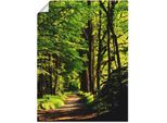 Wandbild ARTLAND "Weg im Wald", grün (farbe bild(er): grün), B:90cm H:120cm, Bilder, als Leinwandbild, Poster in verschied. Größen