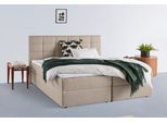 Boxbett HOME AFFAIRE "Ovalo auch in Überlänge erhältlich", beige, creme, B:214cm L:210cm, Komplettbetten, Boxbett, wahlweise mit Bettkasten, in H2, H3 & H4 erhältlich