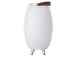 kooduu Tischleuchte Synergy, Kunststoff, 41 cm, Bluetooth-Lautsprecher, Flaschenkühler, Lampen & Leuchten, Innenbeleuchtung, Tischlampen