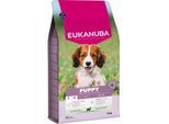 EUKANUBA Trockenfutter Hund, Junior, klein/mittelgroß, Lamm 12kg