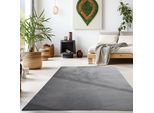 Teppich AYYILDIZ TEPPICHE "SKY 5400", grau, B:200cm H:7mm L:290cm, Polyester, Teppiche, Teppich, Läufer, Besonders weich, Softfllor, waschbar