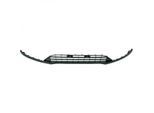 DIEDERICHS Lüftungsgitter, Stoßfänger HD Priority Parts 1419045 unten für Ford