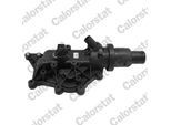 CALORSTAT BY VERNET Thermostat, Kühlmittel th697183j für RENAULT