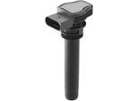 BorgWarner (BERU) Zündspule ZSE142 12V für SKODA VW SEAT AUDI VAG 06H905115A 06H905115B