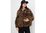 bonprix 3-in-1 Umstands- und Tragejacke aus Teddyfleece, beige, Gr.32/34 (XS), Kuschelige Teddyjacke für die Schwangerschaft und danach