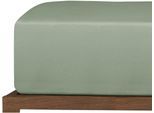 Spannbettlaken UNCOVER BY SCHIESSER "New Jersey aus 100% Baumwolle", grün (hellgrün), B:100cm L:200cm, Jersey, Obermaterial: 100% Baumwolle, Bettlaken, Spannbettlaken, Made in Green