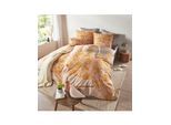 Bettwäsche HEINE HOME Gr. 1, gelb (ocker, sesam, bedruckt), B/L: 135cm x 200cm, Renforcé, B/L: 80cm x 80cm, 2 Stk., Renforcé, 100% Baumwolle, Bettwäsche, Bettwäsche
