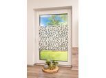 Plissee K-HOME "Klemmfix Pisa" Gr. 36, grau (stein, grau), B:115cm H:130cm, Obermaterial: 100% Polyester, Plissees, Plissee, Crushed-Optik, Topseller