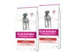 EUKANUBA Veterinary Diet Trockenfutter Hund Intestinal Adult 2x12 kg