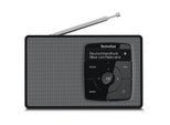 TechniSat DIGITRADIO 2 Portables DAB+/UKW-Radio, Bluetooth schwarz/silber