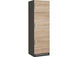 Kühlumbauschrank KOCHSTATION "KS-Gera", grau (eiche, anthrazit), B:60cm H:200cm T:60cm, Holzwerkstoff, Schränke, Kühlumbauschrank, Breite 60 cm