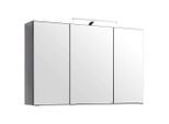 Xora Spiegelschrank, Graphit, Metall, 6 Fächer, 100x64x20 cm, Made in Germany, Badezimmer, Badezimmerspiegel, Spiegelschränke