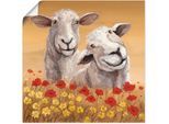 Poster ARTLAND "Schafe", beige (farbe bild(er): naturfarben), B:50cm H:50cm, Bilder, Poster, ohne Rahmen