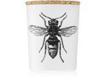 Vila Hermanos Insect Calabrone geurkaars 75 gr