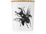 Vila Hermanos Insect Lucanus Cervus geurkaars 75 gr
