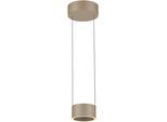 NEUHAUS PURE LED Pendelleuchte "PURE Clipse", beige (bronzefarben), 2, Ø 15cm H: 40cm, 1 Stk., Leuchten, Comfort Lift, CCT, dimmbar über Fernbedienung, LED Pendelleuchte
