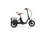 SachsenRAD T6S Comfort Air mit Alarmanlage