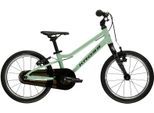 Kinderfahrrad KROSS "KROSS Kinderrad Lightweight Liftie 16" grün" Gr. 20, grün (grün, grün), Fahrräder, Kinder, 20cm, 16 Zoll (40,64cm) hinten: 16 Zoll (40,64cm), Kinderfahrrad