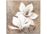Leinwandbild ARTLAND "Klassische Magnolien", beige (farbe bild(er): naturfarben), B:70cm H:70cm, Bilder, Leinwandbild, auf Holzrahmen gespannt