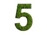 Möbelix , Grün , Naturmaterialien , Kork , 25x17x2.5 cm , einfache und schnelle Anbringung, pflegefrei – nicht gießen oder besprühen, keine Beleuchtung notwendig , Dekoration, Bilder & Rahmen, Bilder, Moosbilder