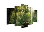 artgeist , Dunkelgrün, Hellgrün , Textil, Holzwerkstoff , rechteckig , 100x50x1.2 cm , Keilrahmen ,