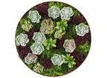 Luca Bessoni , Grün , Kunststoff , ISO 9001, Reach, Bsci , Dekoration, Blumen & Blumentöpfe, Kunstblumen